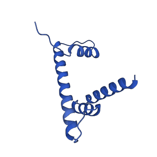 22408_7jo9_H_v1-3
1:1 cGAS-nucleosome complex