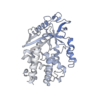 22408_7jo9_K_v1-2
1:1 cGAS-nucleosome complex