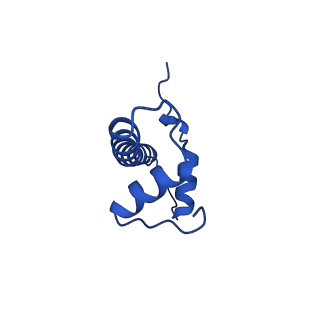 22409_7joa_B_v1-2
2:1 cGAS-nucleosome complex