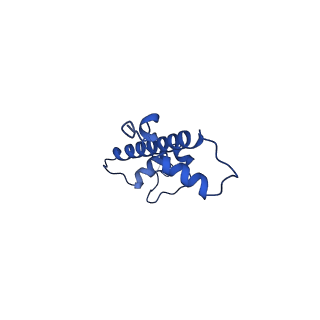 22409_7joa_C_v1-2
2:1 cGAS-nucleosome complex