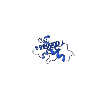 22409_7joa_C_v1-3
2:1 cGAS-nucleosome complex