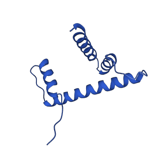 22409_7joa_D_v1-3
2:1 cGAS-nucleosome complex