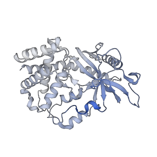 22409_7joa_K_v1-2
2:1 cGAS-nucleosome complex