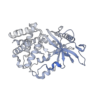 22409_7joa_K_v1-3
2:1 cGAS-nucleosome complex