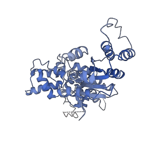 36451_8jo0_A_v1-1
The Cryo-EM structure of a heptameric CED-4/CED-3 catalytic complex