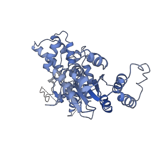 36451_8jo0_B_v1-1
The Cryo-EM structure of a heptameric CED-4/CED-3 catalytic complex