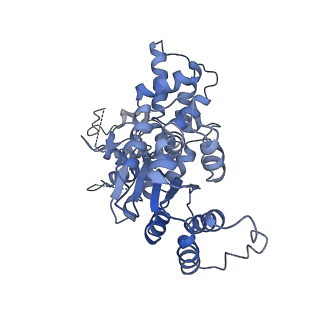 36451_8jo0_C_v1-1
The Cryo-EM structure of a heptameric CED-4/CED-3 catalytic complex