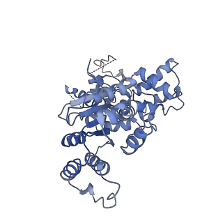 36451_8jo0_D_v1-1
The Cryo-EM structure of a heptameric CED-4/CED-3 catalytic complex