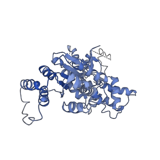 36451_8jo0_E_v1-1
The Cryo-EM structure of a heptameric CED-4/CED-3 catalytic complex