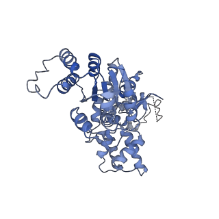36451_8jo0_F_v1-1
The Cryo-EM structure of a heptameric CED-4/CED-3 catalytic complex