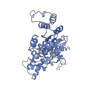 36451_8jo0_G_v1-1
The Cryo-EM structure of a heptameric CED-4/CED-3 catalytic complex