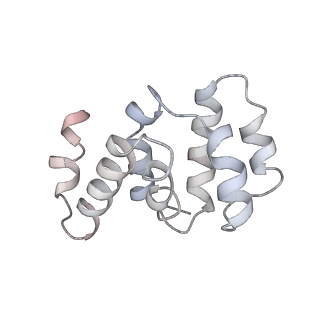 36451_8jo0_H_v1-1
The Cryo-EM structure of a heptameric CED-4/CED-3 catalytic complex