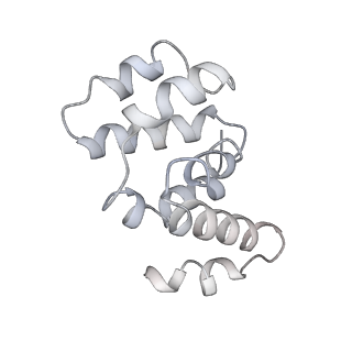 36451_8jo0_I_v1-1
The Cryo-EM structure of a heptameric CED-4/CED-3 catalytic complex