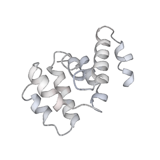 36451_8jo0_J_v1-1
The Cryo-EM structure of a heptameric CED-4/CED-3 catalytic complex