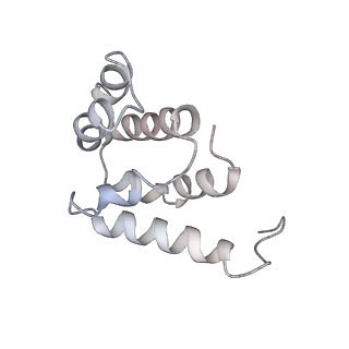 36451_8jo0_K_v1-1
The Cryo-EM structure of a heptameric CED-4/CED-3 catalytic complex
