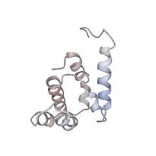 36451_8jo0_L_v1-1
The Cryo-EM structure of a heptameric CED-4/CED-3 catalytic complex