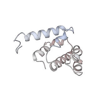 36451_8jo0_M_v1-1
The Cryo-EM structure of a heptameric CED-4/CED-3 catalytic complex