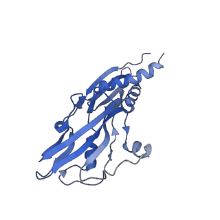 36453_8jo2_B_v1-2
Structural basis of transcriptional activation by the OmpR/PhoB-family response regulator PmrA