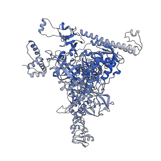 36453_8jo2_C_v1-2
Structural basis of transcriptional activation by the OmpR/PhoB-family response regulator PmrA