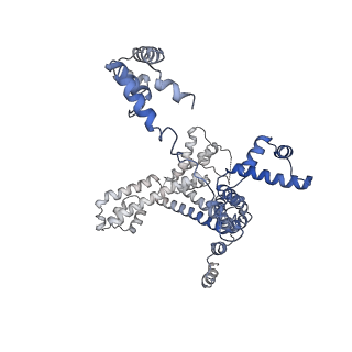 36453_8jo2_F_v1-2
Structural basis of transcriptional activation by the OmpR/PhoB-family response regulator PmrA