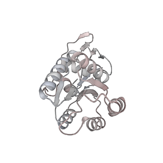 36453_8jo2_H_v1-2
Structural basis of transcriptional activation by the OmpR/PhoB-family response regulator PmrA