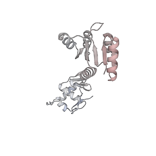 36453_8jo2_I_v1-2
Structural basis of transcriptional activation by the OmpR/PhoB-family response regulator PmrA