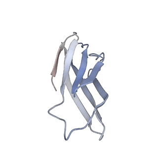 36462_8jou_C_v1-0
Fiber I and fiber-tail-adaptor of phage GP4