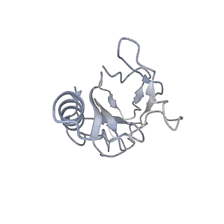 36462_8jou_a_v1-0
Fiber I and fiber-tail-adaptor of phage GP4