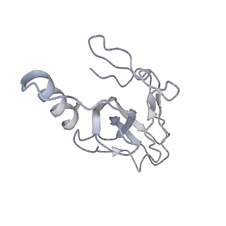 36462_8jou_c_v1-0
Fiber I and fiber-tail-adaptor of phage GP4
