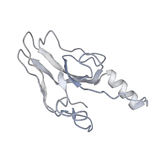 36462_8jou_d_v1-0
Fiber I and fiber-tail-adaptor of phage GP4