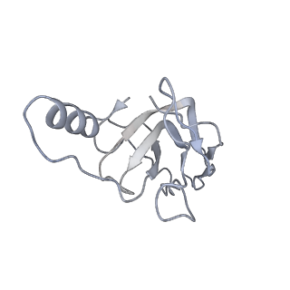 36462_8jou_e_v1-0
Fiber I and fiber-tail-adaptor of phage GP4