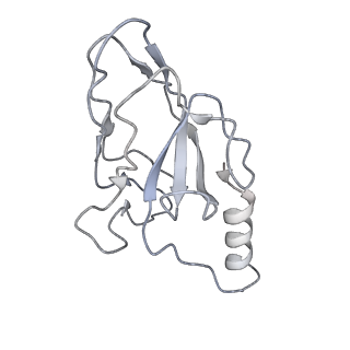 36462_8jou_f_v1-0
Fiber I and fiber-tail-adaptor of phage GP4