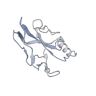 36462_8jou_h_v1-0
Fiber I and fiber-tail-adaptor of phage GP4