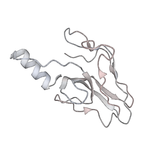 36462_8jou_i_v1-0
Fiber I and fiber-tail-adaptor of phage GP4