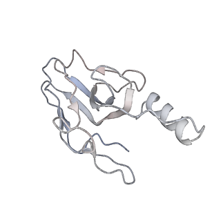36462_8jou_j_v1-0
Fiber I and fiber-tail-adaptor of phage GP4