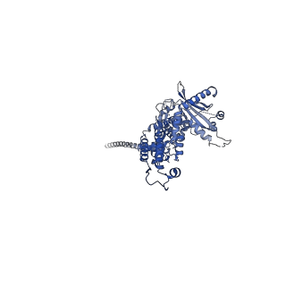 36463_8jov_0_v1-0
Portal-tail complex of phage GP4