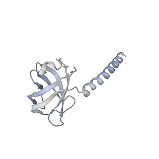 36463_8jov_1_v1-0
Portal-tail complex of phage GP4