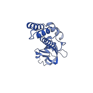 36463_8jov_2_v1-0
Portal-tail complex of phage GP4