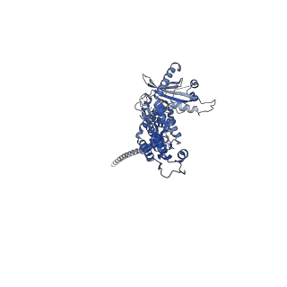 36463_8jov_3_v1-0
Portal-tail complex of phage GP4