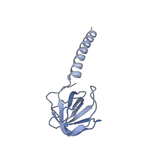 36463_8jov_4_v1-0
Portal-tail complex of phage GP4