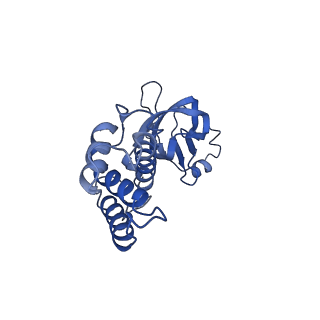 36463_8jov_5_v1-0
Portal-tail complex of phage GP4