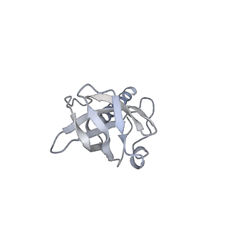 36463_8jov_7_v1-0
Portal-tail complex of phage GP4