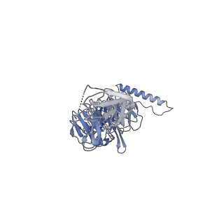 36463_8jov_A_v1-0
Portal-tail complex of phage GP4