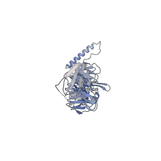 36463_8jov_B_v1-0
Portal-tail complex of phage GP4