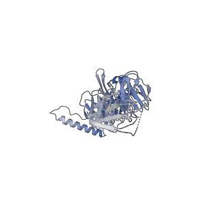 36463_8jov_D_v1-0
Portal-tail complex of phage GP4