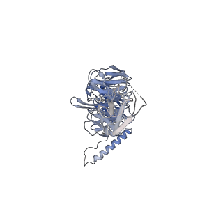 36463_8jov_E_v1-0
Portal-tail complex of phage GP4