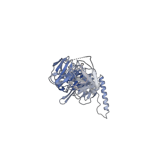 36463_8jov_F_v1-0
Portal-tail complex of phage GP4