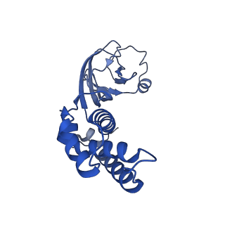 36463_8jov_H_v1-0
Portal-tail complex of phage GP4