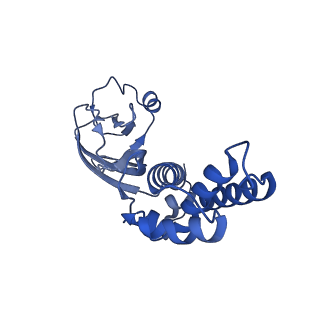 36463_8jov_I_v1-0
Portal-tail complex of phage GP4