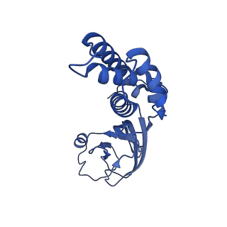 36463_8jov_K_v1-0
Portal-tail complex of phage GP4